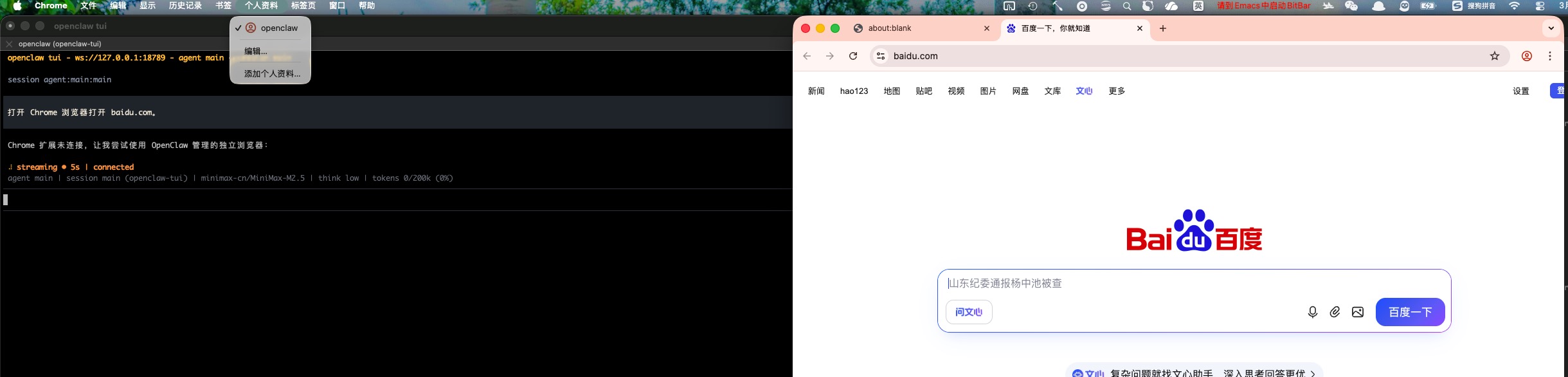 openclaw控制浏览器